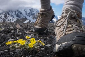 Giày leo núi trekking: cách chọn phù hợp từng địa hình