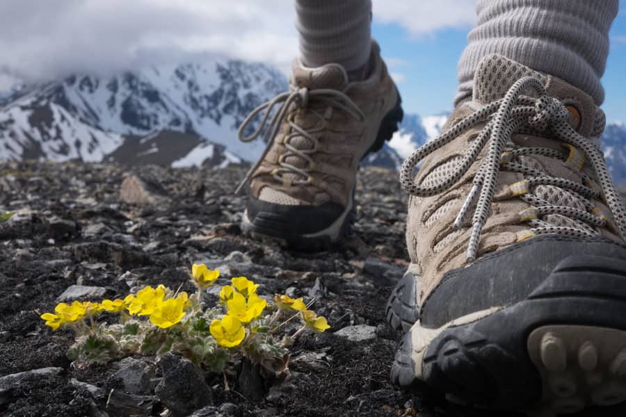 Giày leo núi trekking: cách chọn phù hợp từng địa hình