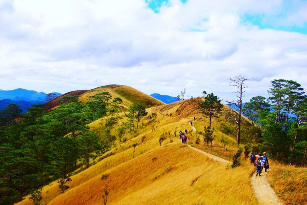 Trekking Tà Năng Phan Dũng mùa cỏ cháy