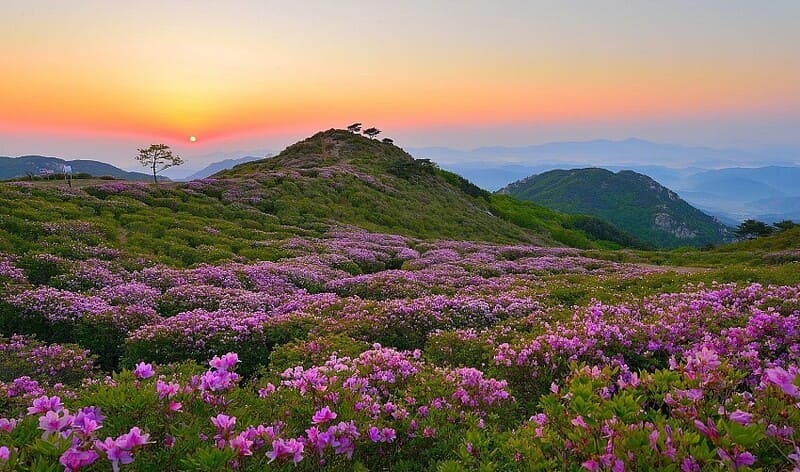 Thời điểm đẹp nhất để trekking Putaleng là khoảng tháng 10 đến tháng 4 năm sau