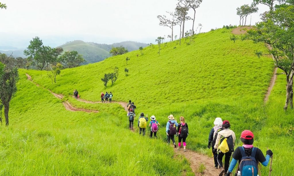 Trekking Tà Năng Phan Dũng mùa xanh