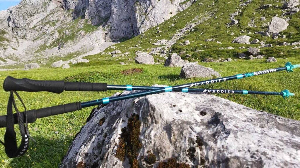 các loại gậy chạy trail phổ biến