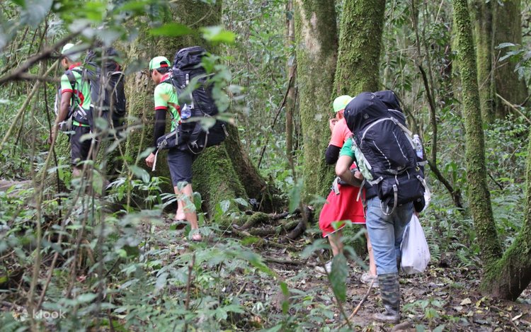có nên tự mua porter trekking không
