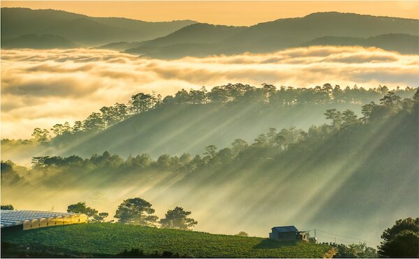 Thời điểm lý tưởng đi Bảo Lộc