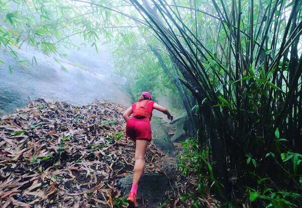Tuyến núi Dinh xuyên rừng