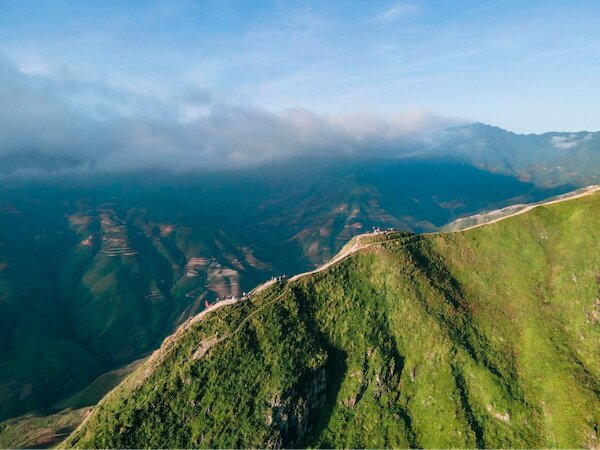 Cung sống lưng khủng long Háng Đồng