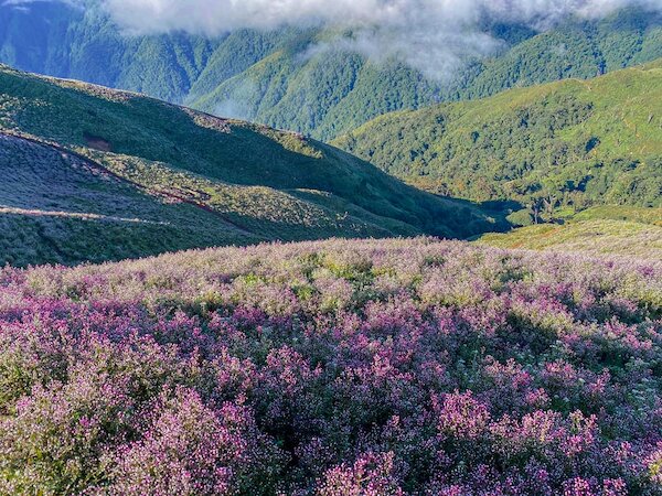Tổng hợp thông tin cần biết về Trekking tà Chì Nhù